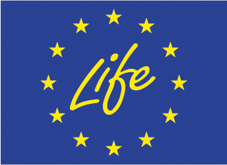 life-logo